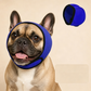 🐶 50% dto. Gorro protector para perros – reduce ruidos, impermeable y de neopreno premium. Protege orejas y calma a tu mascota todo el año! ✨🌊