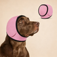 🐶 50% dto. Gorro protector para perros – reduce ruidos, impermeable y de neopreno premium. Protege orejas y calma a tu mascota todo el año! ✨🌊