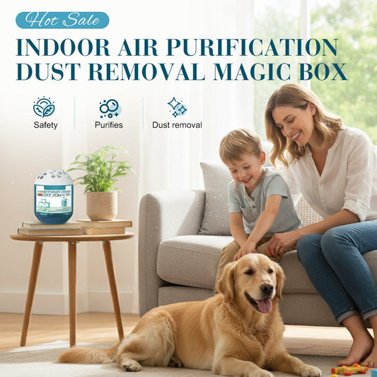 🌿 Caja Mágica para Eliminación de Polvo y Purificación de Aire en Interiores – Aire Fresco y Saludable para tu Hogar 🏠✨