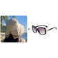 Mujeres Bowknot ancho borde sombrero protector del sol