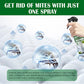 🐛 🐛SPRAY INSECTICIDA POTENTE: efecto inmediato contra moscas y mosquitos🌿🌿Sin olor y respetuoso con la piel, ideal para el hogar y el jardín