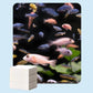 🐠 ¡COMPRA 1 Y LLÉVATE 1 GRATIS! ✨ TOALLITAS CLARIFICADORAS PARA ACUARIO - Agua cristalina en 24 horas, elimina olores e impurezas, seguras para todos los peces y plantas 🌿🔮