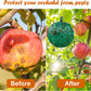 📢Compra 1 y llévate 3 gratis🔥Trampas adhesivas colgantes para mosquitos de la fruta