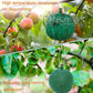 📢Compra 1 y llévate 3 gratis🔥Trampas adhesivas colgantes para mosquitos de la fruta