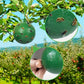 📢Compra 1 y llévate 3 gratis🔥Trampas adhesivas colgantes para mosquitos de la fruta