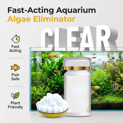 🎁⏰ Acuario Agua Verde y Eliminador de Musgo