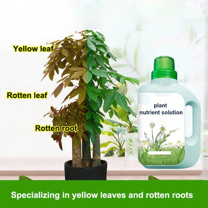 Solución universal de nutrientes para plantas | Raíces fuertes, suelo saludable, crecimiento mejorado