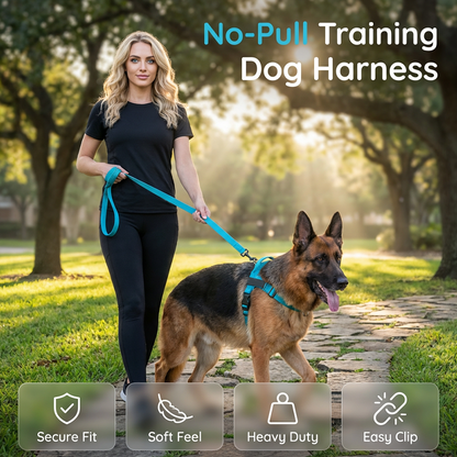 🦮 ¡OFERTA POR TIEMPO LIMITADO 50% DE DESCUENTO! 🍂 Arnés Acolchado para Perro de Fácil Puesta – Antitirones, Ajuste Preciso, Hebilla Rápida y 8 Colores ✨