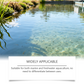 🔥🐟 ¡50% OFF! Clarificador de Agua para Acuarios y Estanques – Agua Cristalina en Poco Tiempo ✨