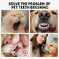 -50 % Solo hoy 🐶🐱 Pluma dental para perros y gatos