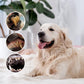 -50 % Solo hoy 🐶🐱 Pluma dental para perros y gatos