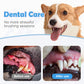 -50 % Solo hoy 🐶🐱 Pluma dental para perros y gatos
