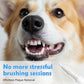 -50 % Solo hoy 🐶🐱 Pluma dental para perros y gatos