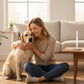 -50 % Solo hoy 🐶🐱 Pluma dental para perros y gatos