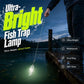 🎣Compra 1 y llévate 1 gratis💡 Linterna LED para pesca: resistente al agua, muy luminosa para la pesca nocturna 🌊🔦 Compacta, con clip, 4 colores, mejora la visibilidad del cebo; ideal para barco y orilla.