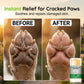 🎁 ¡Compra 1 y llévate 1 GRATIS! 🐶 Bálsamo hidratante para patas: cuidado práctico para unas patas suaves y bien cuidadas