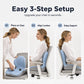 🪑 ¡56 % DE DESCUENTO AHORA! ✨ Cojín Ergonómico de Espuma Viscoelástica con Soporte Lumbar – Cómodo y con Gran Sujeción para Hogar, Oficina y Coche 💺🛡️