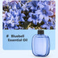 Difusor automático para aromaterapia