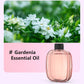 Difusor automático para aromaterapia