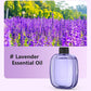 Difusor automático para aromaterapia