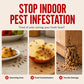 📢Compra 1 y llévate 1 gratis🎃 Trampa para insectos con forma de calabaza: control discreto de hormigas y moscas en interiores